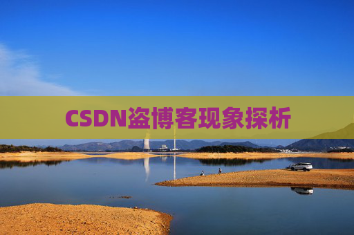 CSDN盗博客现象探析